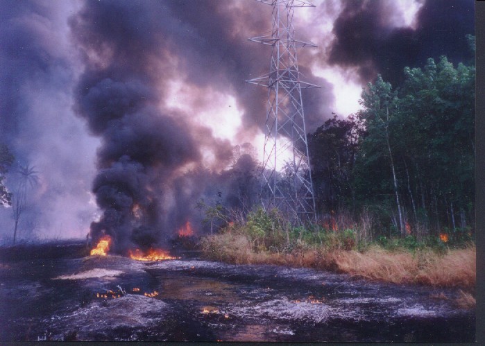 IMAGES FROM ELUME FIRE DISASTER IN URHOBO COUNTRY, NIGERIA'S NIGER DELTA, NOVEMBER 16, 2000: BURNT TELECOMMUNICATIONS TOWER