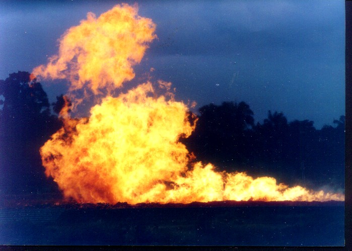 Shell's Gas Flare